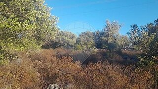 Terreno · 4868 m² · 3950 €