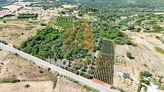 Land for sale in Azambuja, Portugal — €86,150