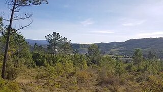 Terreno de 13 000 m² em Coimbra