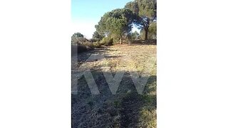 Land for sale in Castro Daire, Portugal — €25,000