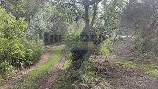 Land for sale in Loulé, Portugal — €77,000