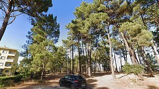 Terreno de 29 690 m² em Setúbal