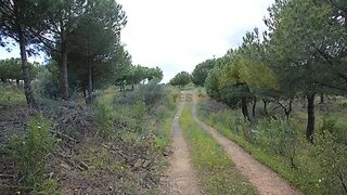 Land for sale in Castro Marim, Portugal — €100,000