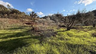 Land for sale in Silves, Portugal — €25,000