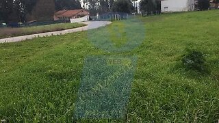Land for sale in Anadia, Portugal — €30,000