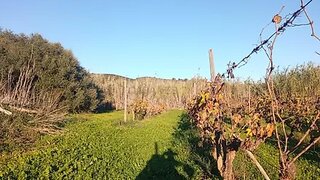 Land for sale in Castro Marim, Portugal — €8,000
