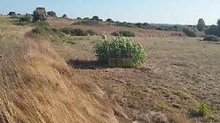 Land for sale in Cartaxo, Portugal — €34,000