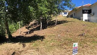 Terreno em Sever do Vouga
