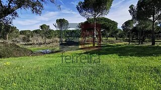 Land for sale in Coruche, Portugal — €95,000