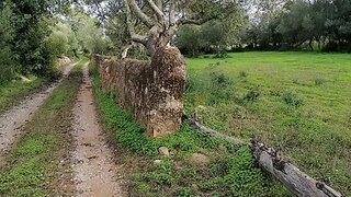 Terreno para venda em Olhão, Portugal — 45 000 €