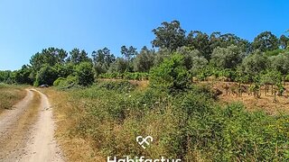 Land for sale in Tondela, Portugal — €40,000