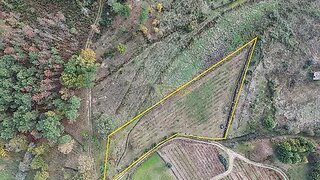 Land for sale in Nelas, Portugal — €19,990
