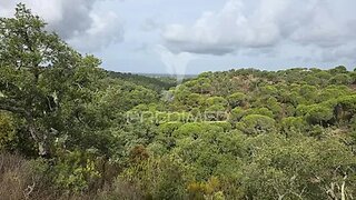 Land for sale in Grândola, Portugal — €800,000