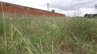 Land for sale in Salvaterra de Magos, Portugal — €85,000