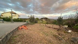 Land for sale in Tondela, Portugal — €60,000
