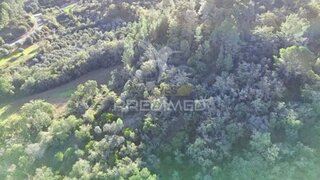 Terreno de 18 360 m² em Santarém