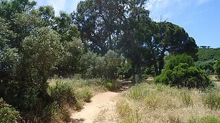 Terreno em Setúbal · 200 000 m² · 1 650 000 €