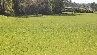 Land for sale in Maia, Portugal — €1,050,000