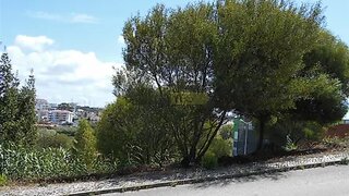 Land for sale in Figueira da Foz, Portugal — €70,000