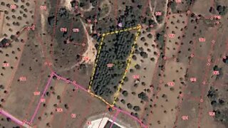 Terreno em Santarém · 4200 m² · 4000 €