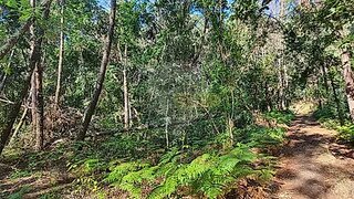 Terreno para venda em Penalva do Castelo, Portugal — 10 000 €