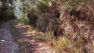 Terreno em Ponte de Lima