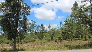 Land for sale in Marinha Grande, Portugal — €150,000