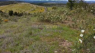 Terreno em Nisa
