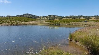 Land for sale in Alandroal, Portugal — €290,000