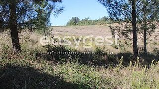 Land for sale in Tomar, Portugal — €29,900