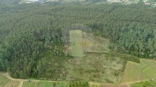 Land for sale in Mealhada, Portugal — €50,000