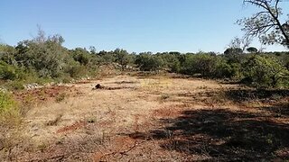 Land for sale in Loulé, Portugal — €37,500