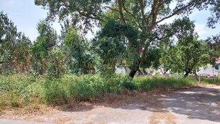 Land for sale in Leiria, Portugal — €50,000