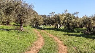 Terreno em Alandroal