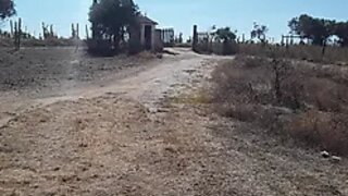 Land for sale in Azambuja, Portugal — €72,000