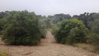 Land for sale in Torres Novas, Portugal — €6,000