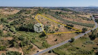 Terreno em Santarém · 16 000 m² · 1 000 000 €