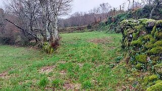 Land for sale in Vieira do Minho, Portugal — €50,000