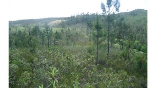 Terreno em Castelo Branco