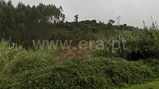 Land for sale in Torres Vedras, Portugal — €22,000