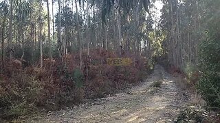 Land for sale in Sever do Vouga, Portugal — €27,500