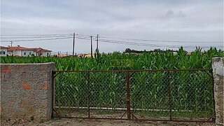 Terreno em Aveiro · 4000 m² · 146 000 €