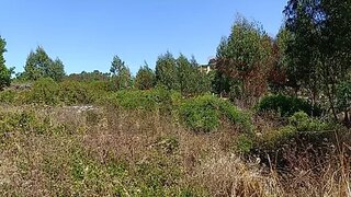 Land for sale in Lourinhã, Portugal — €68,000