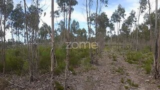 Land for sale in Marinha Grande, Portugal — €55,000