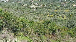 Terreno de 2160 m² em Faro