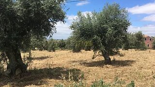Land for sale in Abrantes, Portugal — €27,500