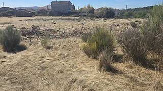 Land for sale in Mangualde, Portugal — €300,000