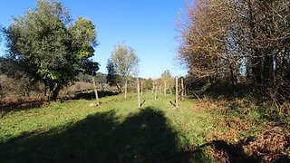 Land for sale in Vila Nova de Cerveira, Portugal — €62,000