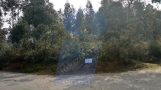 Land for sale in Oliveira do Bairro, Portugal — €28,000