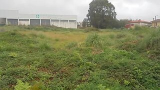 Terreno · 4300 m² · 240 000 €